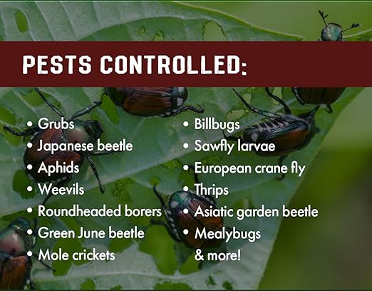Pro Grub Control – 32oz - Concentrated Imidacloprid (21.4%) Insecticide for Trees, Shrubs & Landscape Ornamentals – Controls Aphids, Japanese Beetles, Weevils, Grub Larvae & More