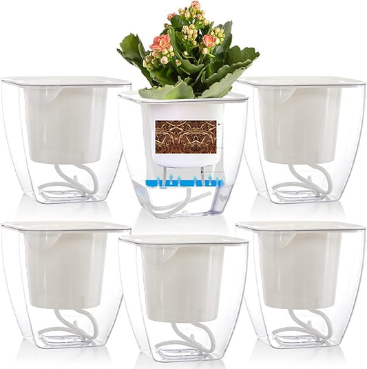Lyellfe 6 Pack Plastic Self Watering Pots, 4 Inch Clear African Violet Pots for Indoor Plants, Automatic-Watering Planter with Drainage, Wick Rope, Windowsill Gardens, Herb, Orchid