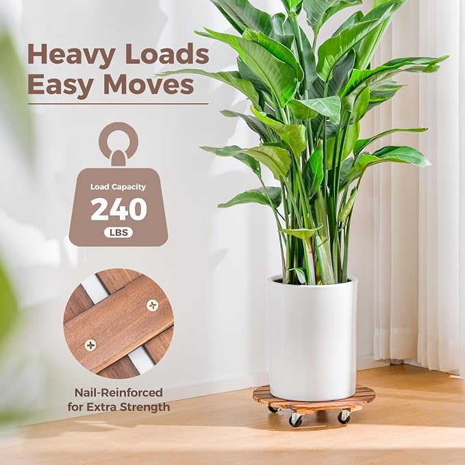 Bamworld Plant Stand Outdoor Rolling Tray Plant Caddy with Wheels 12in Plant Caster with Wheels Planter Caddy Flower Cart Plant Dolly for Heavy Duty Large Plants Plant Rollers (2 Pack ) | Heavy-duty planter dollies make large pots easy to move indoors ...
