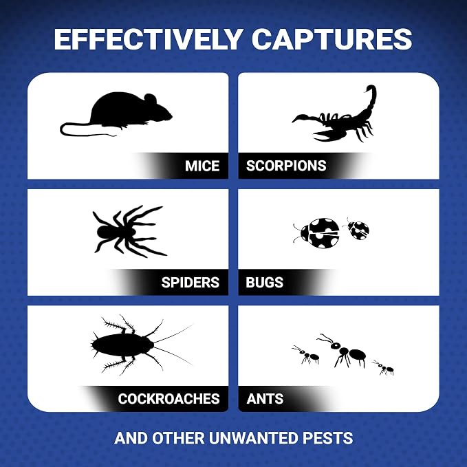 GATCH Mouse & Insect Glue Boards, 36pk Sticky Mouse Traps Indoor for Home, Pre-Baited Glue Traps for Mice Rodent Rat Bugs Cockroach, Non-Toxic Adhesive Roach Traps Indoor, House Pet Safe Pest Control