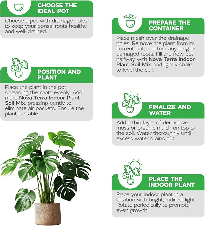 Potting Soil Indoor Plants Soil for Indoor Plants Potting Mix planters Food Plant Food for houseplants Fertilizer