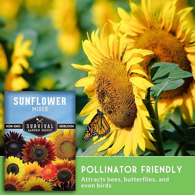 Mixed Sunflower Seeds for Planting | Colorful Blend of Heirloom Varieties for Cut Flowers & Pollinators – Heirloom Non-GMO – Survival Garden Seeds (3 Packs)