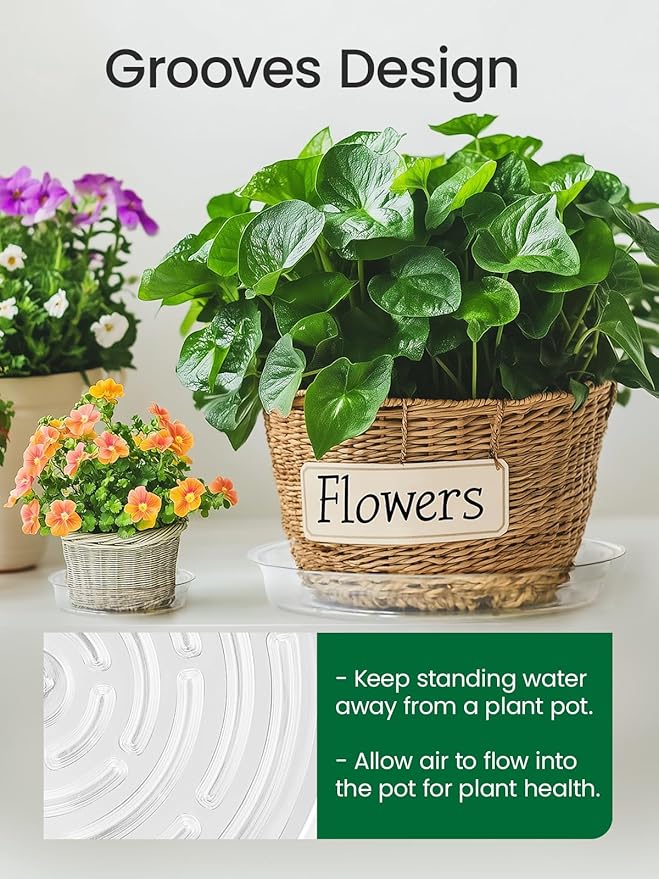 GROWNEER 15 Packs 6 Inches Clear Plant Saucers Flower Pot Trays, with 15 Pcs Plant Labels, Plastic Plant Saucer Drip Trays for Indoor Outdoor Plants Garden