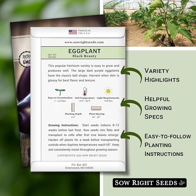 Sow Right Seeds - Black Beauty Eggplant Seed for Planting - Non-GMO Heirloom Packet with Instructions to Plant an Outdoor Home Vegetable Garden - Large Round Fruits, Deep Purple Variety (4)