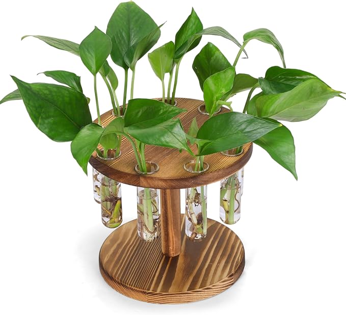 Plant Propagation Station, Plant Terrarium with Wooden Stand, 9 Tube Vases | Retro Rotation Plant Stand for Hydroponics Home Garden Office Decor, Unique Gardening Birthday Gifts for Women Plants Lovers
