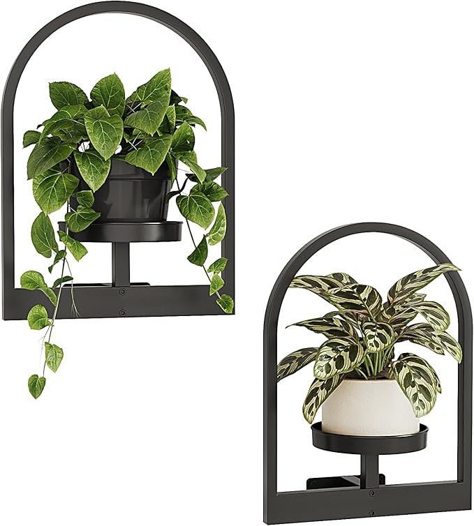 Bamworld Wall Plant Holder Plant Stand Indoor Wall Planters Round | Wall Planters for Indoor Plants Window Plant Shelves Plant Holder Wall Decor, Room Decor 2 Pack (Patent Design)