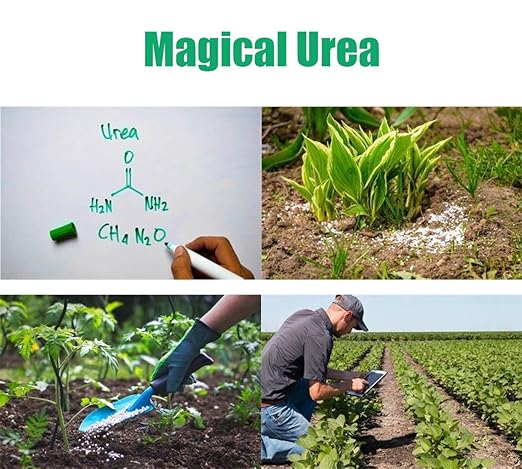 Urea Fertilizer 46-0-0, Nitrogen Fertilizer for Plant Growth and Green Lawns, Fruit, Vegetables. (4 lb)