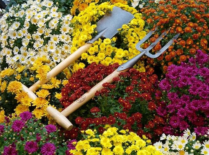 DeWit Perennial Fork with Long Handle