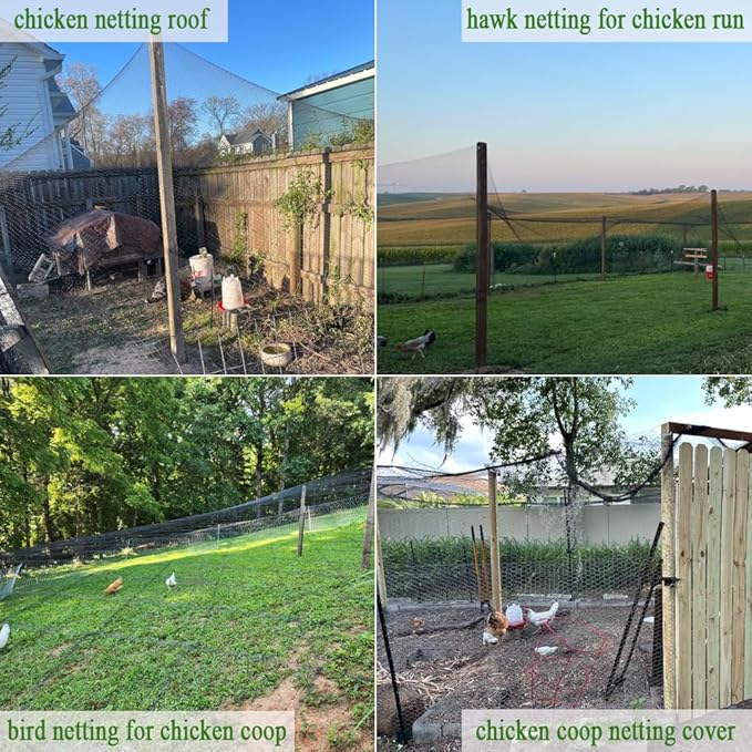 Bird Netting for Chicken Coop 25x50 Ft, 1" Mesh, Strong Woven Poultry Netting Roof Cover for Chicken Run, Heavy Duty Bird Net for Fruit Trees, Blueberry, Vegetables, Garden Protection