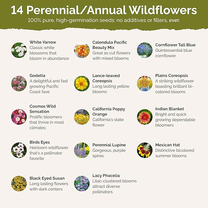 Eden Brothers North Dakota Wildflower Mixed Seeds for Planting, 1 lb, 480,000+ Seeds with Calendula, Sunflower | Attracts Pollinators, Plant in Spring or Fall, Zones
