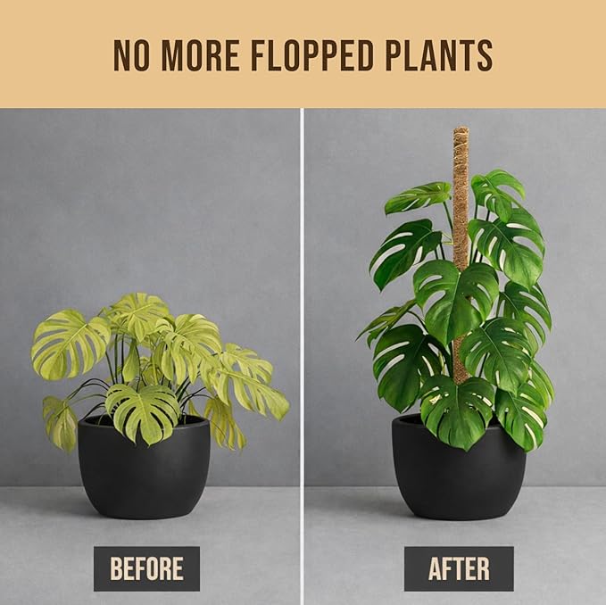 30" Moss Pole Monstera Plant Support, Plant Stakes for Indoor Plants | 2 Pack Bendable Plant Stake