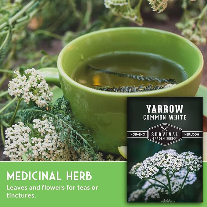 Yarrow Seeds for Planting - White Common Heirloom Medicinal Herb Seeds for Dye & Pollinator Gardens, Easy to Grow Perennial Flowers - Survival Garden Seeds (5 Packs)