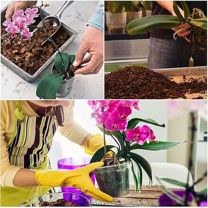 Doter All Purpose Orchid Soil Potting Mix - Orchid Bark & Organic Perlite for Plants - All Natural Potting Soil Media Has Good Drainage for Planting or Orchid Repotting (2 qt)