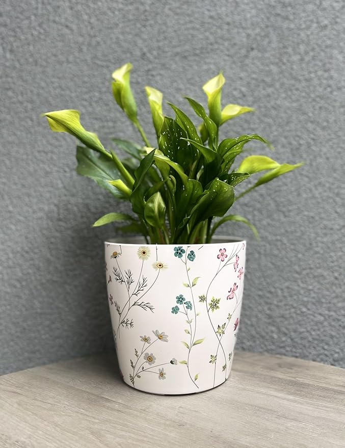 7” Self-Watering Pot – Eco-Friendly Bamboo Planter, Biodegradable & Plastic-Free, Indoor/Outdoor Plant Pot with Built-in Water Well for Healthy Root Growth