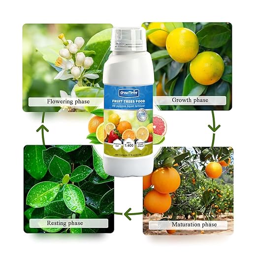 Organic Fruit Tree Fertilizer, Microbial Probiotic Plant Nutrient 17oz (502ml) – Natural Bio-Fermented Liquid Plant Food for Citrus, Lemon, Blueberry, Strawberry & Olive Tree, with Measuring Cup