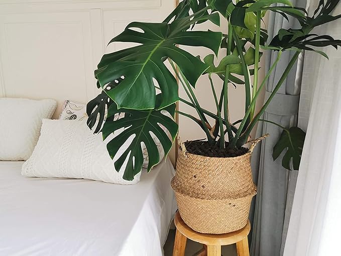 DOKOT Seagrass Plant Basket with Handles, Wicker Woven Storage Basket (8.3inch Diameter x 9inch Height), Natural