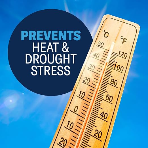 BioAdvanced Drought Guard for Lawns & Gardens Spray - Reduces Watering Needs Up to 50% - Protects Against Heat & Drought Stress - Covers Up to 5,000 Sq. Ft. - 32 fl oz Bottle