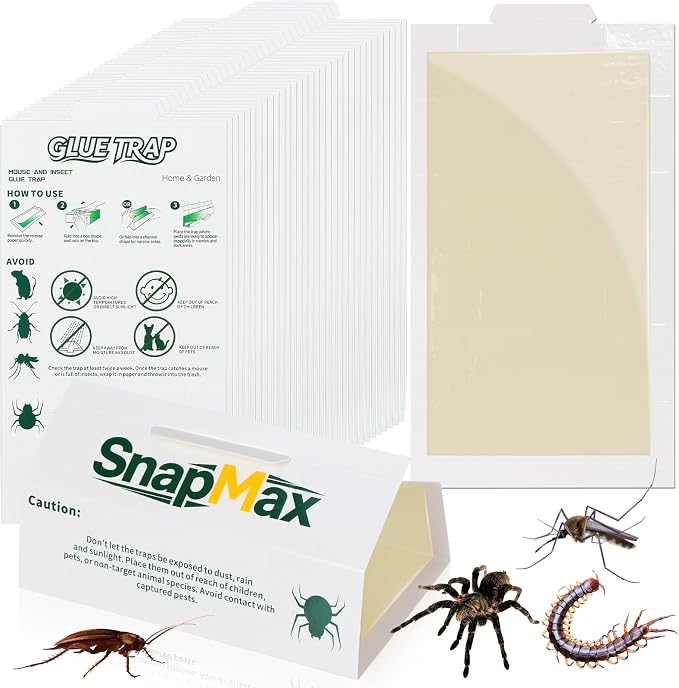Qualirey 50 Pack Large Mouse Traps Bulk Strong Sticky Mouse Insect Glue Board Traps Indoor Home Sticky Pest Adhesive for Catching Rats Rodents Cockroaches Bugs, Unscented (White)