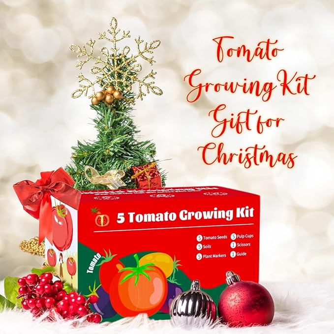 5 Tomato & Tomatillo Garden Seeds Variety Pack - Non-GMO Heirloom Tomato & Tomatillo Seeds with Planting Tools, All-in-One Growing Kit for Christmas Gift & Indoor Home Gardening