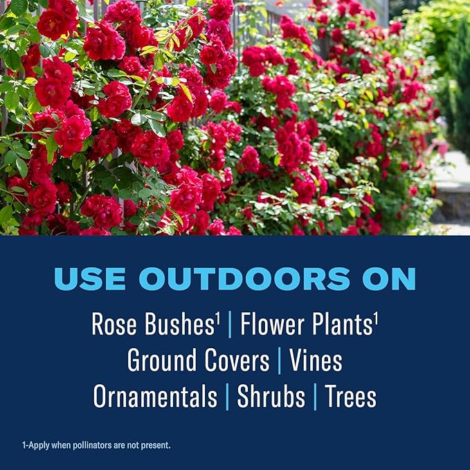 BioAdvanced All-In-One Rose and Flower Plant Care Spray - Insect Control, Disease Control & Plant Mite Killer - Ready-to-Use - Prevents Pests and Diseases - Up to 14 Days Protection - 24 fl oz Bottle