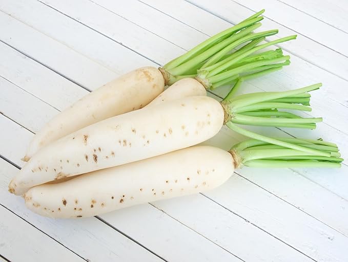 Japanese Daikon Radish Seeds for Planting - 100 Heirloom Non GMO Seeds - Full Planting Instructions to Plant & Grow a Home Vegetable Garden - Great Gardening Gift, 1 Packet