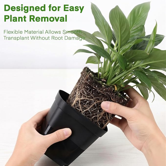 GREANER 4 Inch Nursery Pots, 100PCS Square Plastic Plant Pot with Drainage Holes, Small Planters for Seedling, Planting, Transplanting, Cuttings(Black)