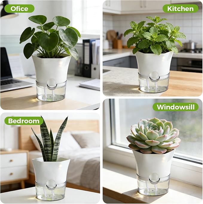 8-Pack 6" Clear Self Watering Pots for Indoor Plants Large Hexagon Self-Watering Planters Orchid Pots Plastic Wick Flower Plant Pots for African Violet, Spider, Herbs, Home Decor, White and Clear