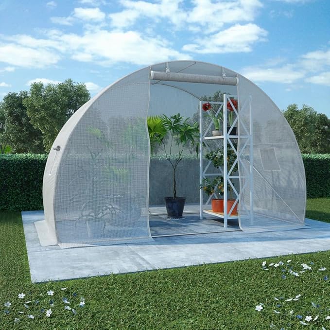 vidaXL Greenhouse, Cold Frame for Garden Patio Backyard Lawn Yard, Green House for Plant Growing Gardening, Outdoor Greenhouse Grow House