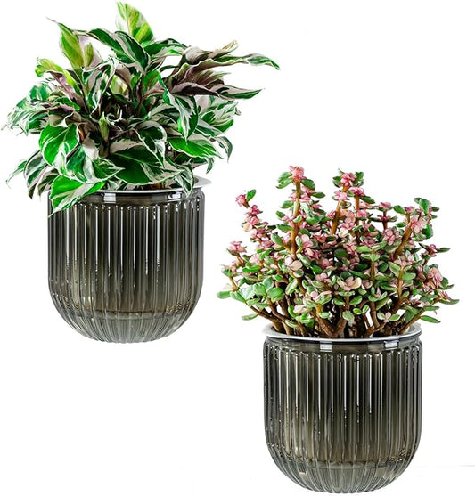 Melphoe Self Watering Pots for Indoor Plants Planter, 5.3 Inch 2 Pack Planters Self Watering Plant Pots for Flower, Houseplants, Succulent, African Violets and Cactus with Drainage