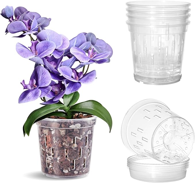 TRUEDAYS Orchid Pot with Saucers – 4 Pack 6 Inch Clear Orchid Pots with Drainage Holes for Repotting – Ideal for Healthy Root Growth – Sturdy Plastic Plant Pot for Indoor & Outdoor Plants