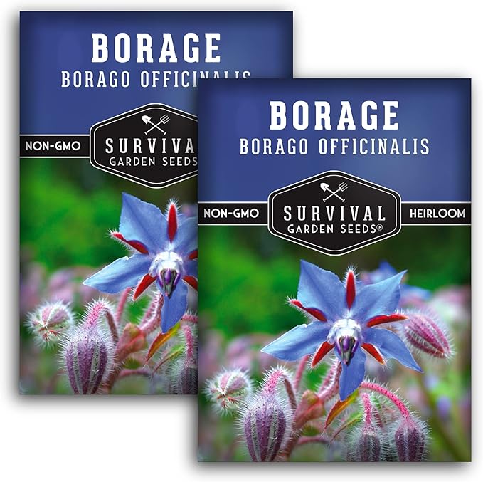 Survival Garden Seeds - Borage Seed for Planting - 2 Packs with Instructions to Plant and Grow Beautiful Medicinal Herb in Your Home Vegetable Garden - Non-GMO Heirloom Variety - Attracts Pollinators