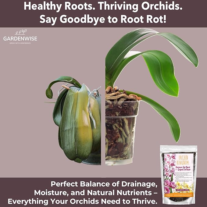 GARDENWISE Orchid Potting Mix – Orchid Bark, Sphagnum Moss, Tree Fern & Perlite for Repotting Phalaenopsis Orchids, Indoor Plants, Orchid Soil Medium – Sustrato para Orquídeas (3 Quart)