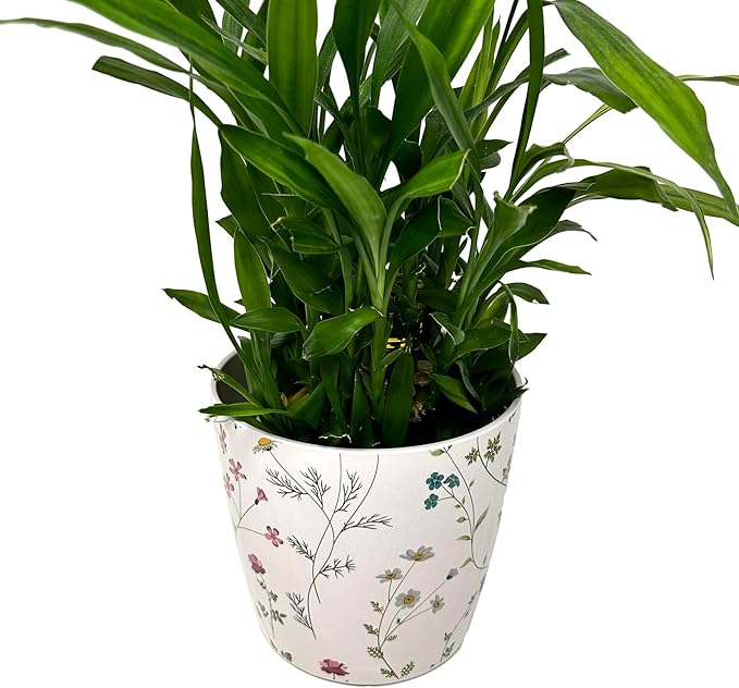7” Self-Watering Pot – Eco-Friendly Bamboo Planter, Biodegradable & Plastic-Free, Indoor/Outdoor Plant Pot with Built-in Water Well for Healthy Root Growth