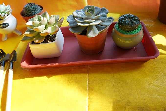 VUWEZ 2 Pack of Plastic Plant Tray Saucer Rectangular, Plant Trays Saucers for Indoors Outdoor, Plant Drip Tray for Flower Pot Planter, Windowsill Plant Tray (6 X 11 Inch, Terracotta)