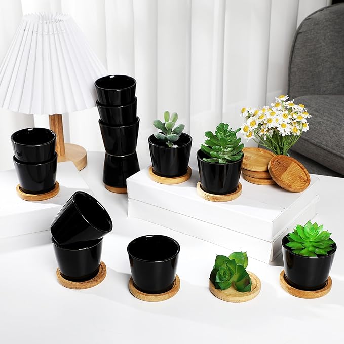 Hsei 24 Pack 2.5 Inch Mini Succulent Plant Pots Small Ceramic Flower Pot with Bamboo Tray Garden Cactus Herb Container Home Office Decoration for Birthday Mother's Day Wedding Favor Gifts (Black)