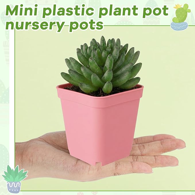Yaomiao 200 Pack 3 Inch Pink Nursery Pot Square Flower Pots Plastic Plant Succulent Planter Seed Starting Pots with Drainage Holes for Garden Office Balcony Decor Indoor Outdoor Plant Seedling