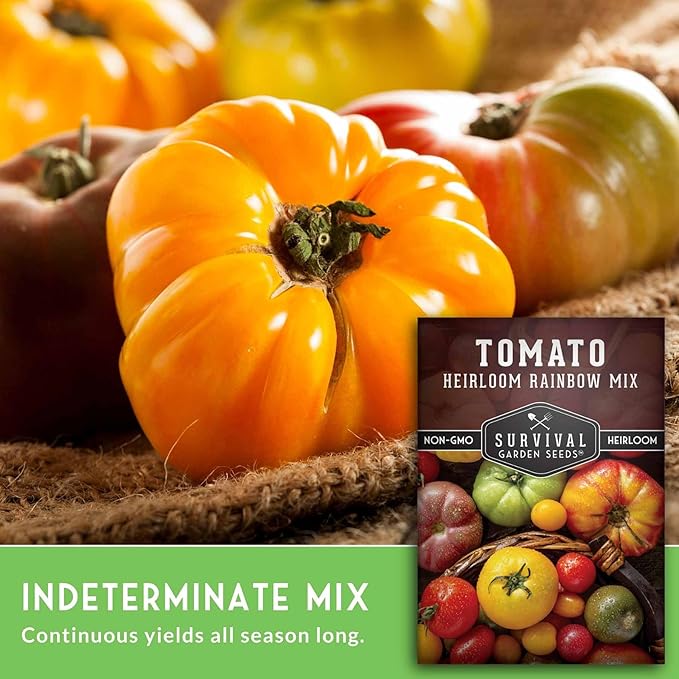 Heirloom Rainbow Mix Tomato Seeds for Planting - Colorful Heirloom Tomato Seed Variety Pack, High Yield Garden Tomatoes, Non-GMO Open Pollinated - Survival Garden Seeds (2 Pack)