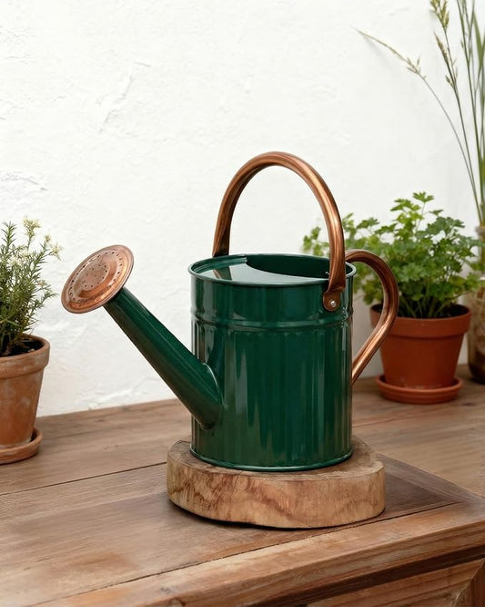 Bamworld Watering Can for Indoor Outdoor Plant Metal Watering Can with Removable Spout Embossd Design Plant Watering Devices Stainless Steel 1/2 Gallon Watering Cans Home & Garden Décor Deep Green