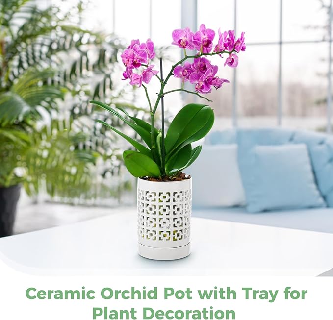 Ceramic Orchid Planter with Holes Orchid Pots with Tray for Home Plant Decoration, Quality Ceramic Material Breathable Design Ideal for Indoor and Outdoor Use