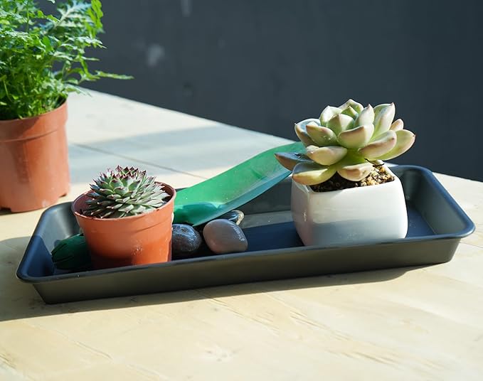 VUWEZ 2 Pack Plastic Plant Tray Saucer, Rectangular, Indoors Outdoor, Water Drip Tray for Flower Pot Planter, Windowsill (6.5 X 13 Inch, Black)