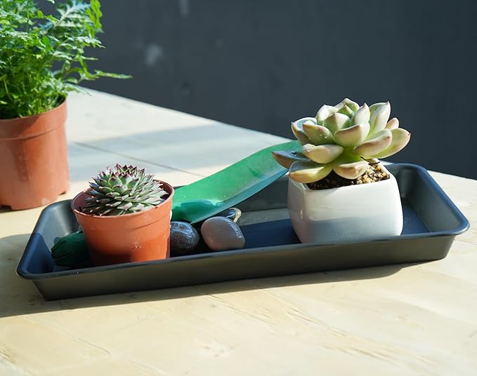 VUWEZ 6 Pack Plastic Plant Tray Saucer Rectangular, Heavy Duty Planter Saucers for Indoors, Plant Water Drip Trays for Flower Pot Planter, Windowsill Pot Tray, Seed Starting Growing Trays