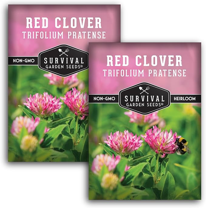 Red Clover Seeds for Planting – Nitrogen-Fixing Cover Crop & Ground Cover for Soil Building and Pollinators – Heirloom Non-GMO Medicinal Herb – Survival Garden Seeds (2 Packs)