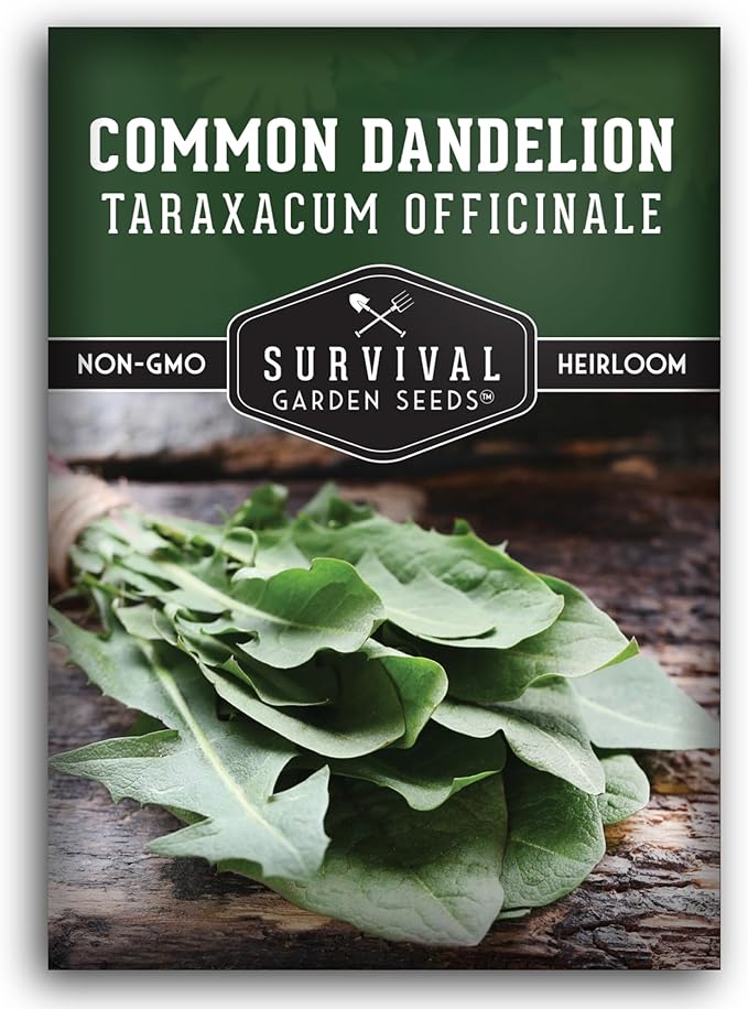 Common Dandelion Seeds for Planting - Plant & Grow Nutritious Dandelion Greens in Your Home Herb or Vegetable Garden - Non-GMO Heirloom - Survival Garden Seeds (1 Pack)