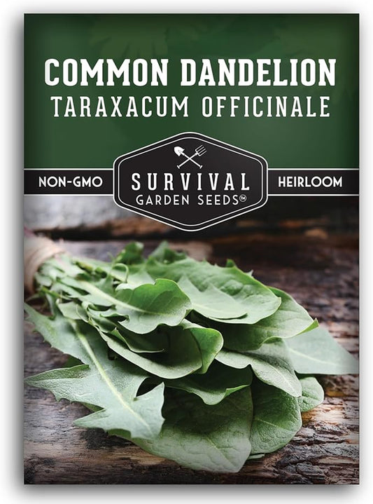 Common Dandelion Seeds for Planting - Plant & Grow Nutritious Dandelion Greens in Your Home Herb or Vegetable Garden - Non-GMO Heirloom - Survival Garden Seeds (1 Pack)