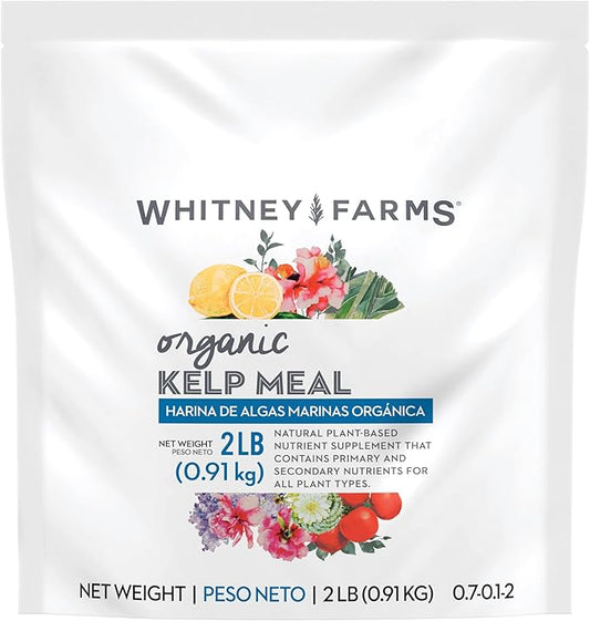 Whitney Farms Organic Kelp Meal 0.7-0.1-2 - Seaweed Fertilizer for Plants, Soil Conditioner for Vegetables, Flowers, Roses and Shrubs, 2 lb.