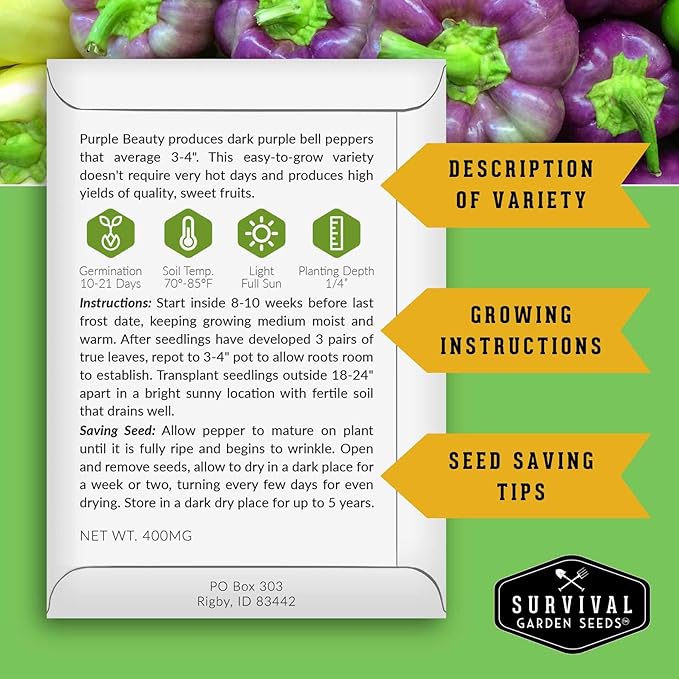 Purple Beauty Bell Pepper Seeds for Planting | Heirloom Sweet Purple Bell Peppers for Home Gardens – Non-GMO Open-Pollinated – Survival Garden Seeds (2 Packs)