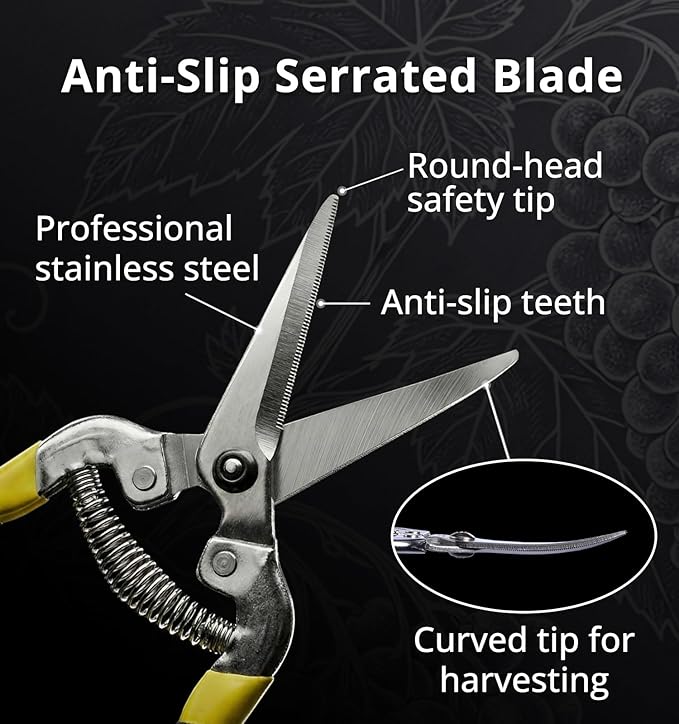 Gardeness Gardening Scissor 12 PCS Curved Stainless Steel Serrated Blade Pruning Shear, harvest shears picking shears Pruning Snip Harvesting Fruit Picking, Mandarins, Lemons and Grape