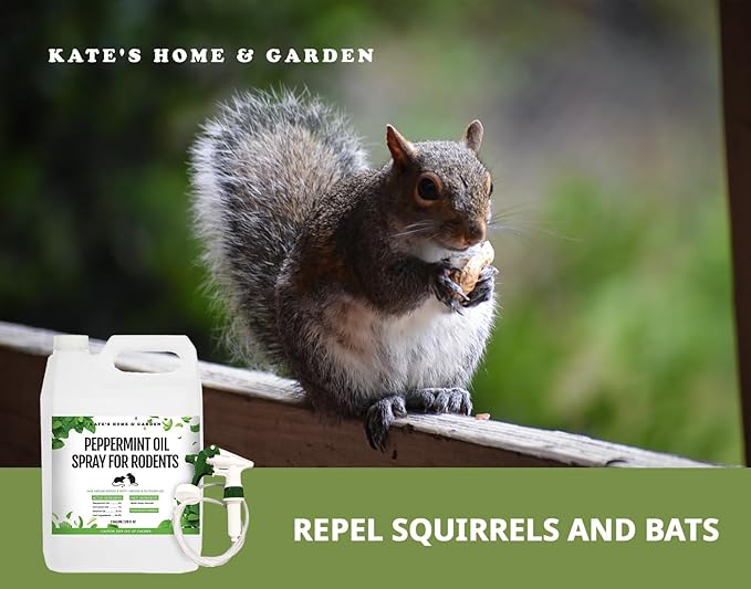 Kate's Home & Garden Peppermint Oil Spray for Rodents, Mice, Squirrels. Rodent Repellent Indoor for Car Engines & Outdoor (1 Gallon, Non Toxic)