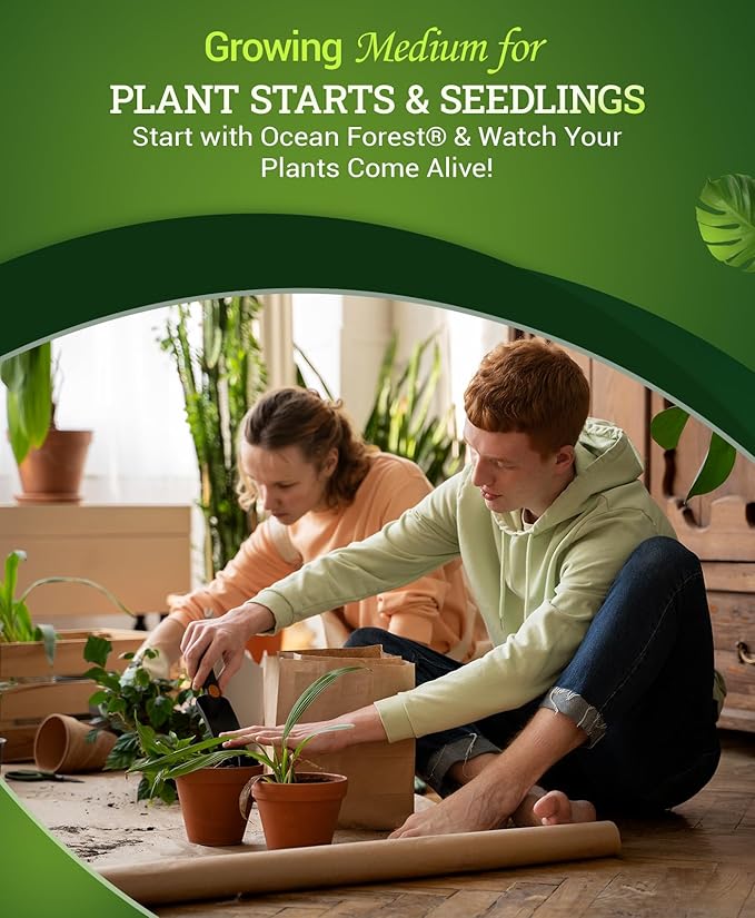 FoxFarm Ocean Forest Potting Soil for Container Gardens - Light, Aerated Texture with Fish Meal, Crab Meal, Earthworm Castings - Houseplant Potting Mix for Seedlings & Plant Starts - 4 x 12 Quart