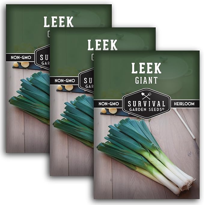 Survival Garden Seeds Giant Leek Seed for Planting - 3 Packets with Instructions to Plant and Grow Enormous Leeks in Your Home Vegetable Garden - Non-GMO Heirloom